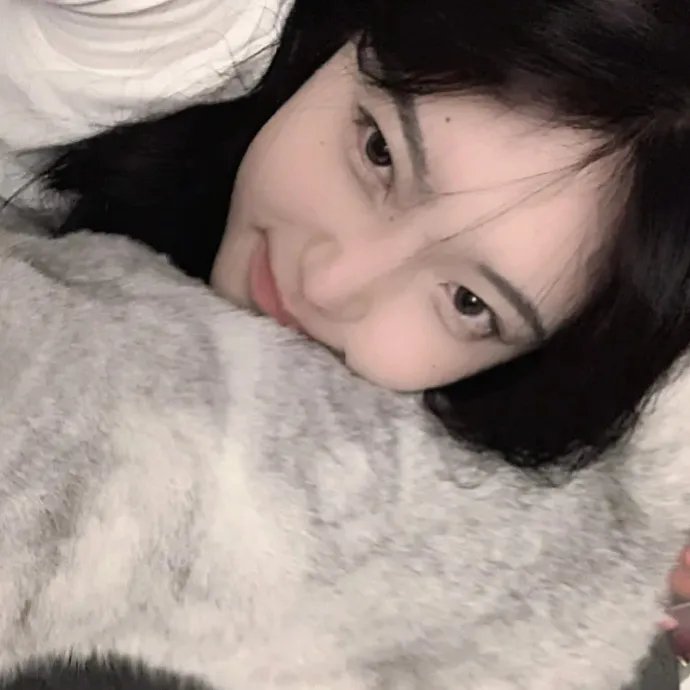 红狐